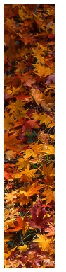 Image_autumn_leaves