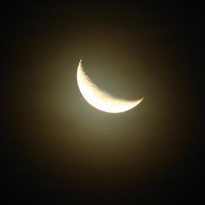 600677-Crescent-moon--Luna-creciente-0