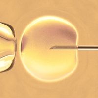 Assisted-reproduction-genetics_1