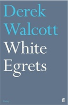 White-Egrets