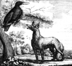 Fox and crow aesop