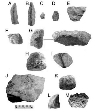Chimpanzee-stone-tools-thumb-365x433-41830