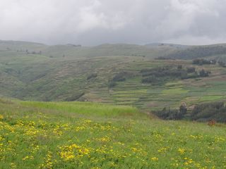 Ethiopia1 041