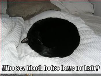 Black-hole-cat