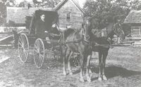 Lockart Farm Horse and Buggy