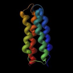 Synthetic-genes-proteins_1