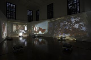 Diana_Thater_Chernobyl,_Hauser_&_Wirth_London_Piccadilly,_Installation_View_2