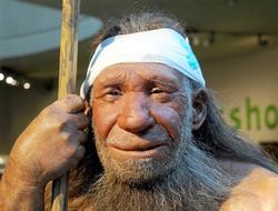NeanderthalPhoto-hmed-0130p_grid-6x2
