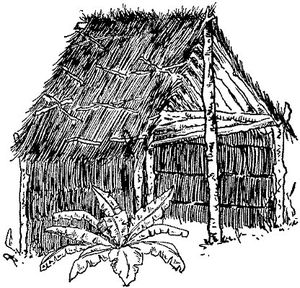 Crusoe hut