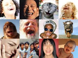Laughter-therapy-hello-giggles