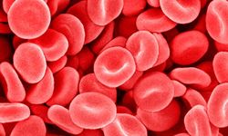 Red-blood-cells-007