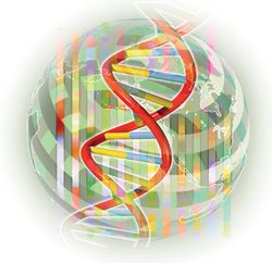 DNA-multicolor