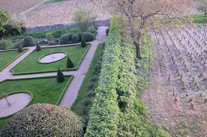 Landscape formal garden and vineyard Burgundy ©Alison Harris