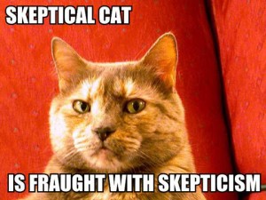 Skeptical-cat-is-fraught-with-skepticism-300x225