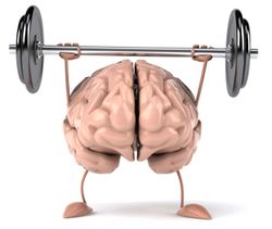 Brain-weights-isp-5