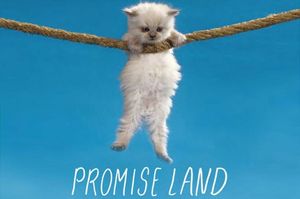 Promise_land-620x412