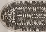 African slave ship diagram