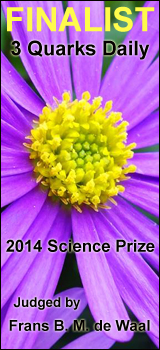 FinalistScience2014