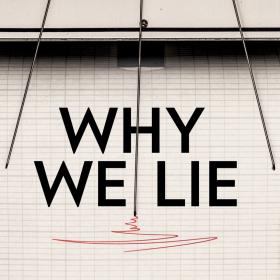 Why-we-lie-cover.adapt.280.1