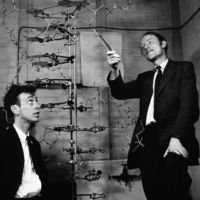 Watson-Crick-DNA-model