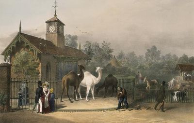 View_of_the_Zoological_Gardens1835