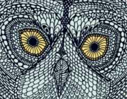 Owl-eyes