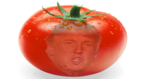 Rs-tomato