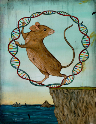 DNA_mouse_cover_notext