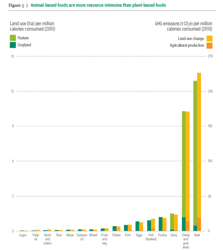 how-much-of-canada-s-land-is-agricultural-updated-2022