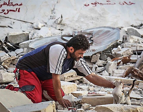 Mohammed Alaa al-Jaleel, the "Cat Man of Aleppo," rescues a young cat from a bombed building in the Syrian city.