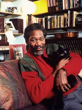 Actor Morgan Freeman with his cat.