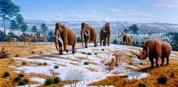 Image of wooly mammoths on the tundra