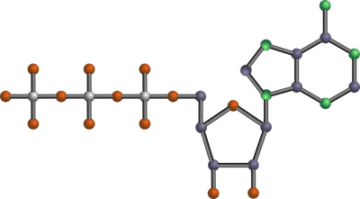 Ball-and-stick drawing ot the molecule adenosine triphosphate.
