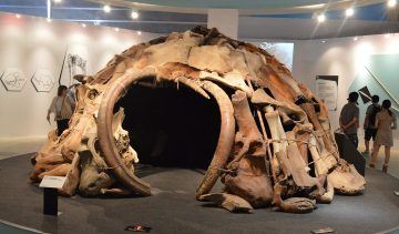 Image of reconstructed mammoth-tusk shelter from Paleolithic Siberia