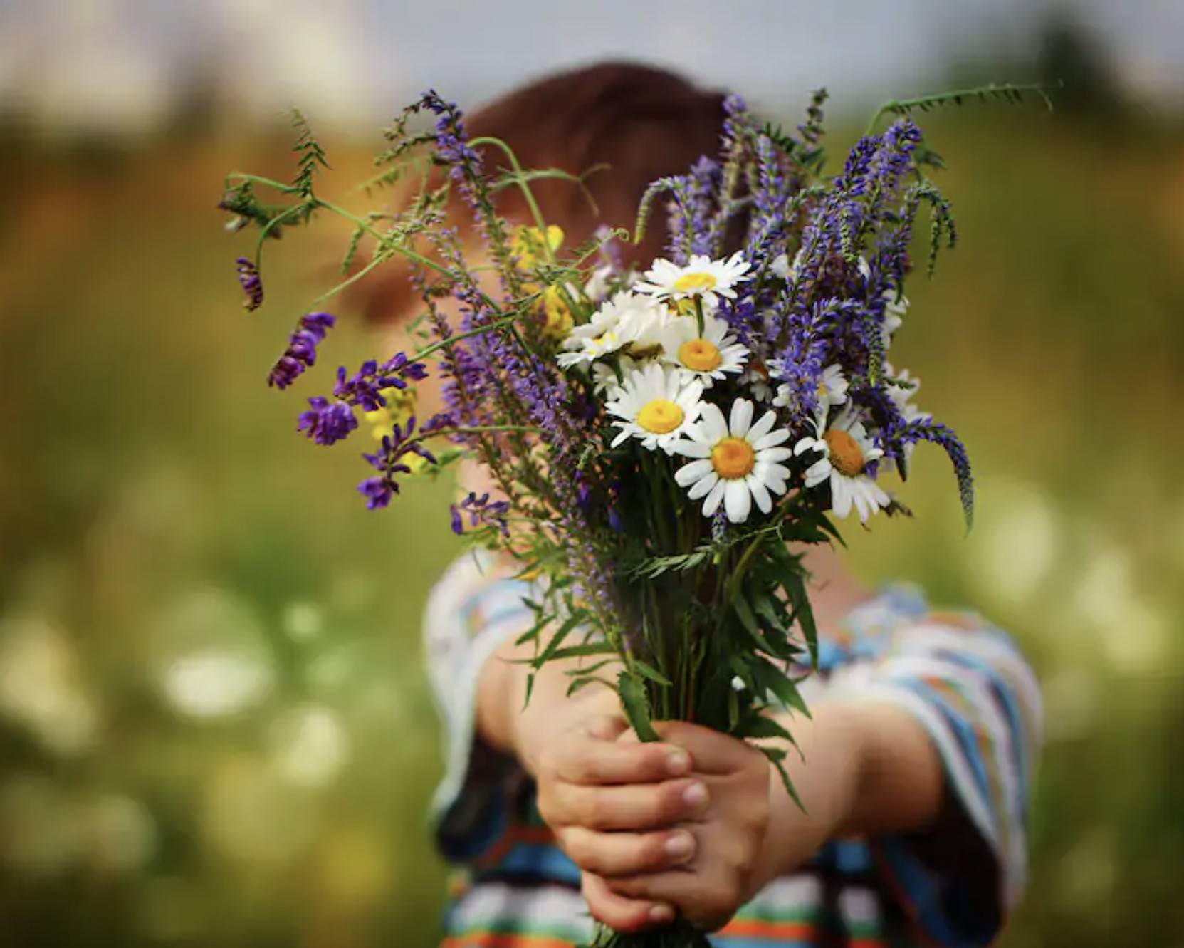 Песня полевые цветы соберу букет подарю. Полевые цветы. Девушка с букетом полевых цветов. Букет полевых цветов в руках. Мальчик с полевыми цветами.