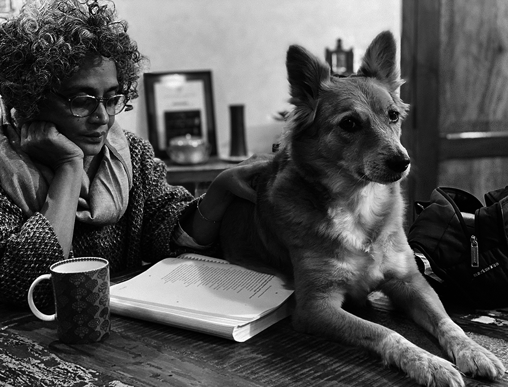 Arundhati roy portal picture