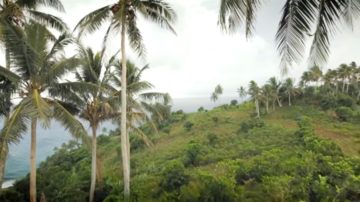 Image of scenery from Anuta island