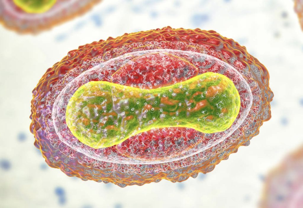 Experts Debate the Risks of Made-to-Order DNA - 3 Quarks Daily
