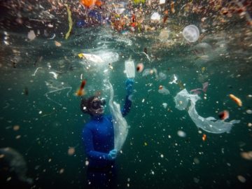 Scientists Discover Microbes That Could Revolutionize Plastic Recycling - 3 Quarks Daily
