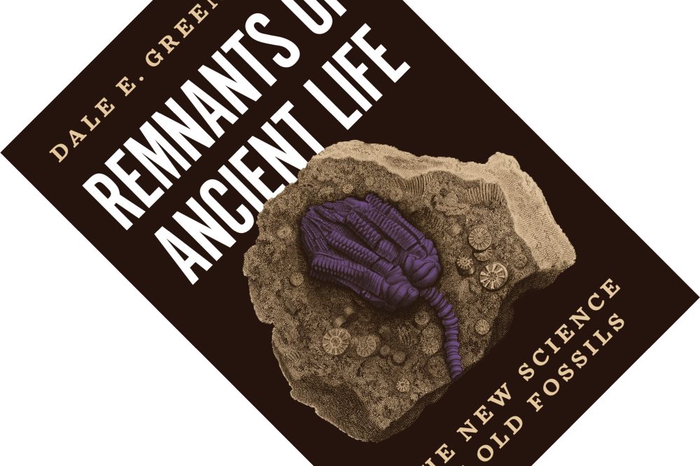 Remnants Of Ancient Life The New Science Of Old Fossils 3 Quarks Daily