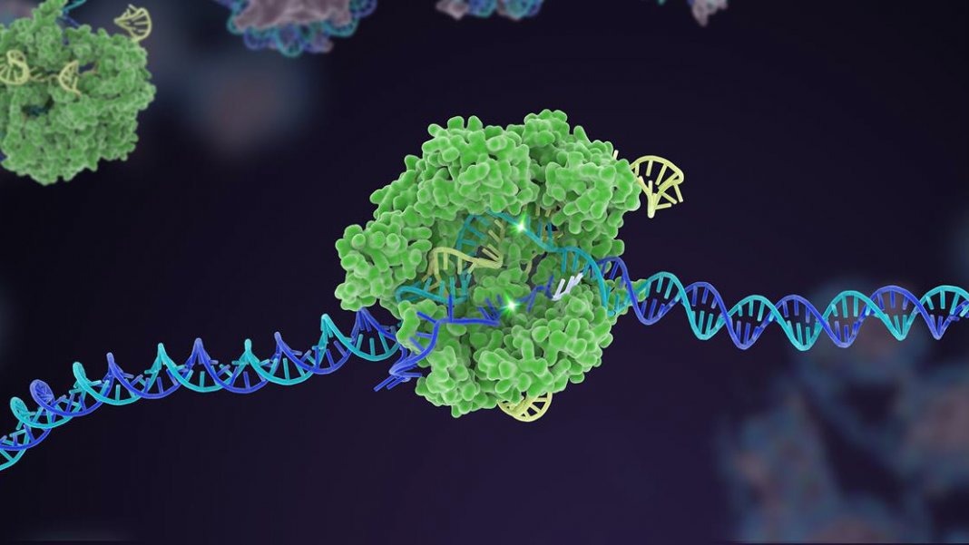 An AI Tool Just Revealed Almost 200 New Systems for CRISPR Gene Editing ...