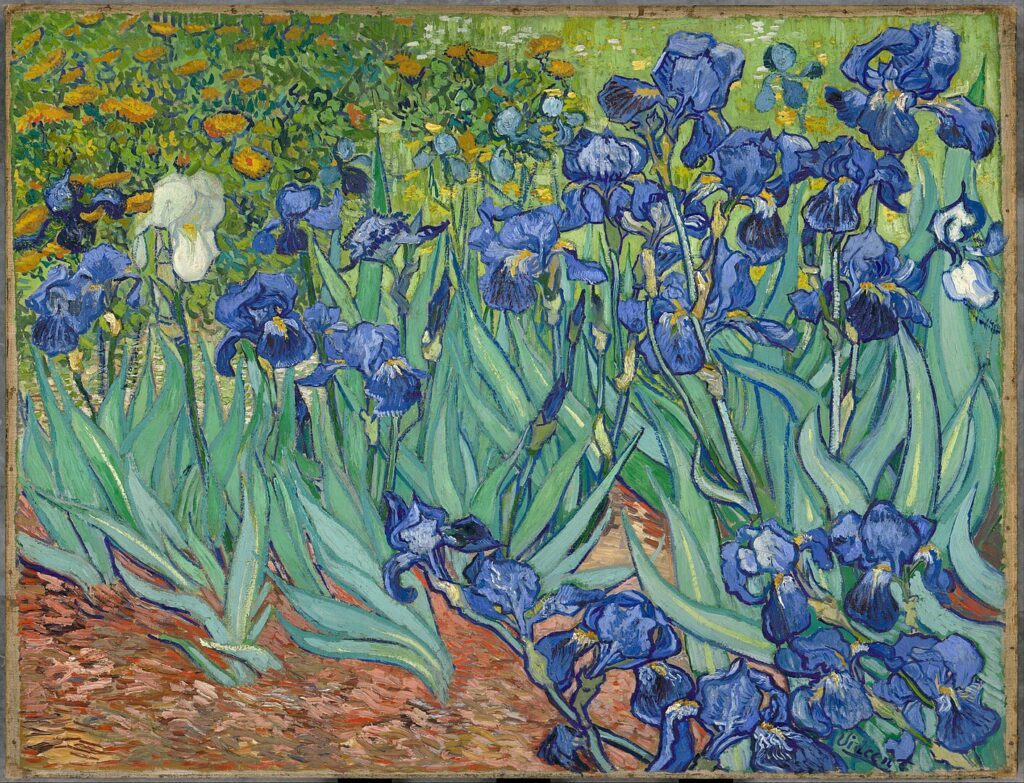 Van Gogh, Irises