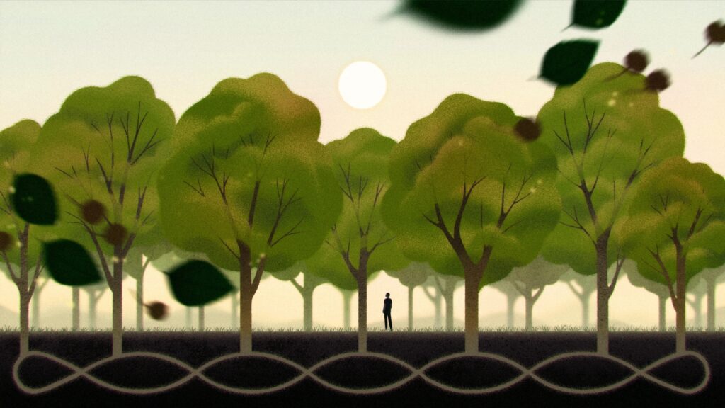 Across a Continent, Trees Sync Their Fruiting to the Sun - 3 Quarks Daily