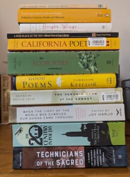 Photograph of a stack of anthologies of poetry. Details are given in the text.