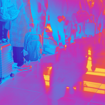 Line of passengers with baggage at airport