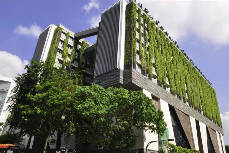 Lessons From Singapore: Evolving And Thriving