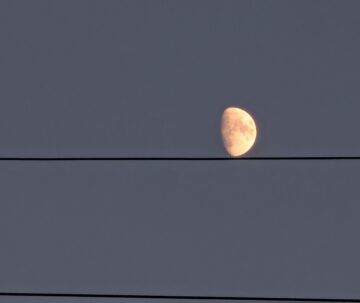 Image shows a gibbous moon apparently balanced on a power line