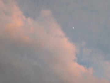 Photograph of first-quarter moon near pink clouds