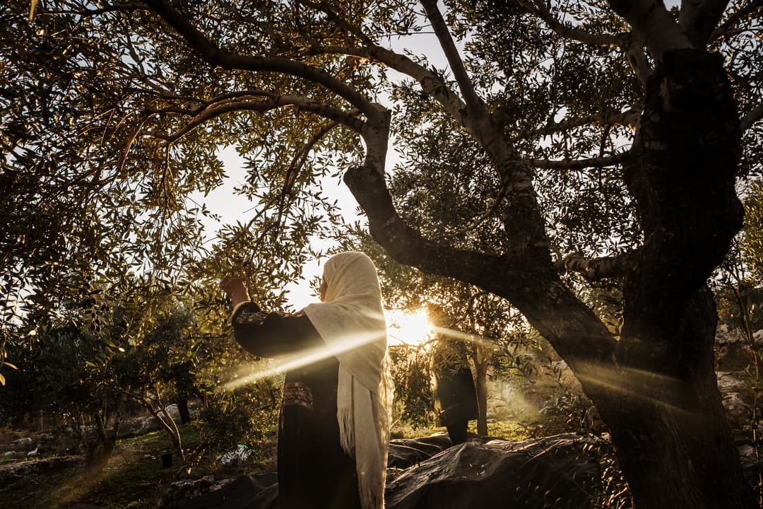 The Unimaginable Trauma—And Resilience—of the People of Gaza