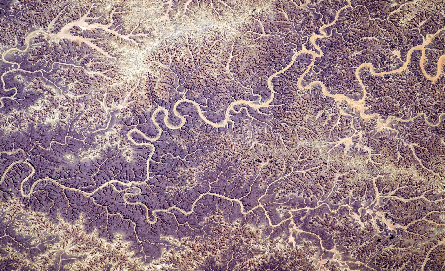 Why Are Rivers So Mathematical? - 3 Quarks Daily
